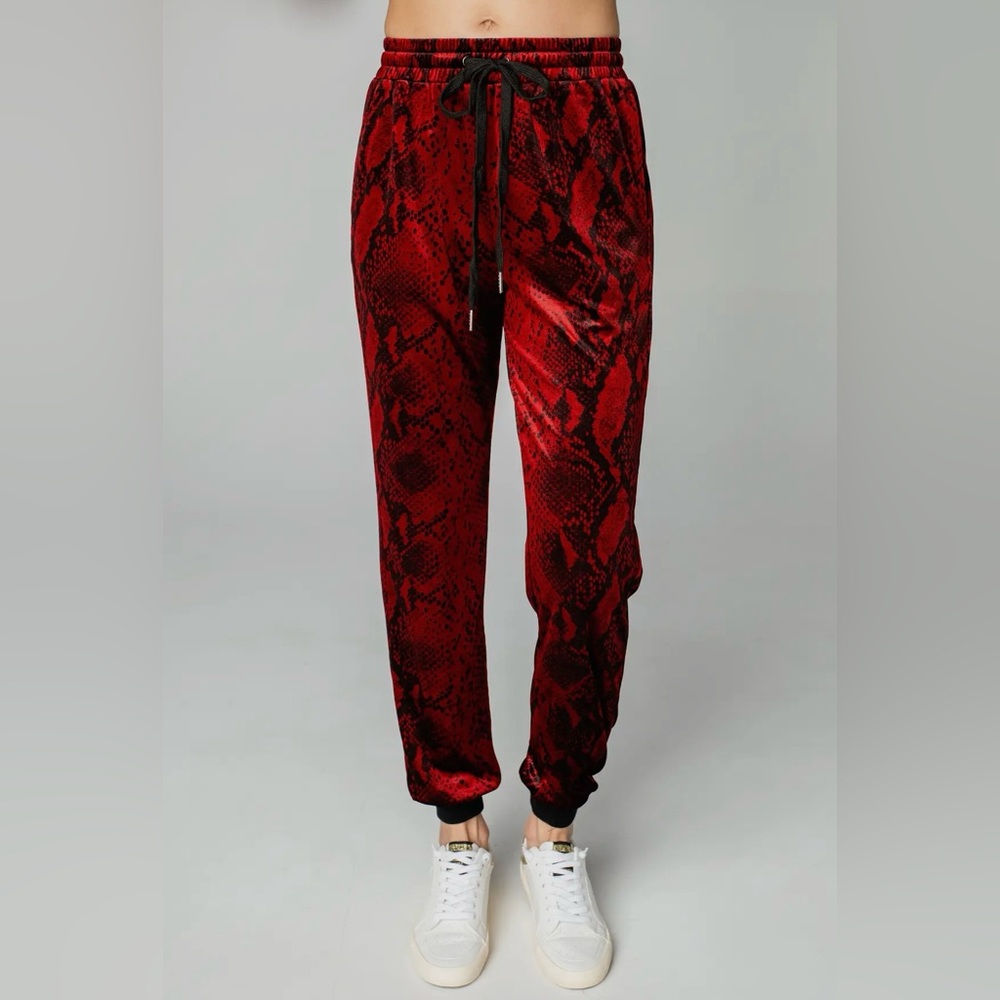 BuddyLove Meadow Lava Rock Velour
Jogger Pants (top is for sale separately)